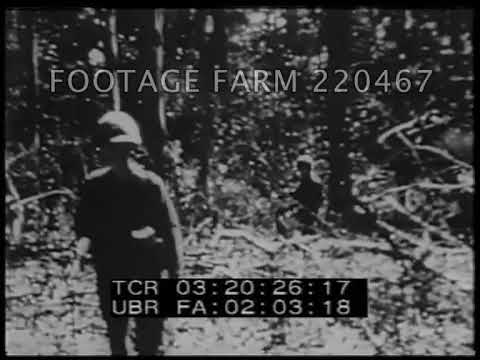 Vietnam War: Jets and Marines in Sharp Fight, 1967 | 220467-02 | Footage Farm Ltd