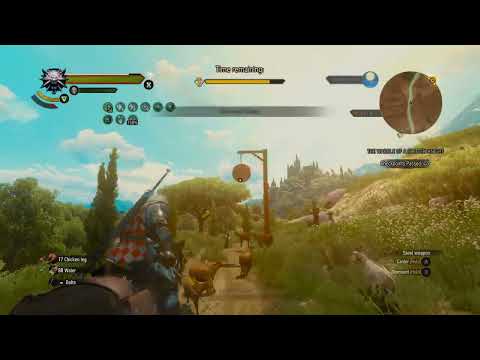 The easy method to win the tourney race | Witcher 3