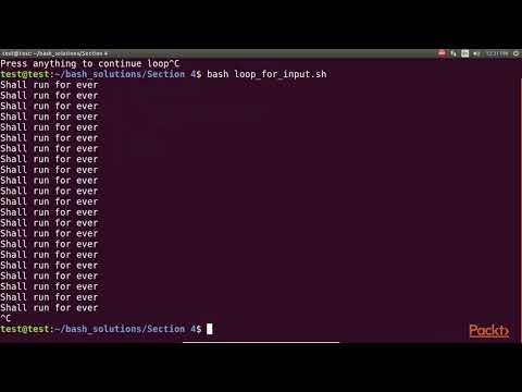 Bash Scripting Solutions Running Program Continuous Forever Looping Constructs | packtpub com