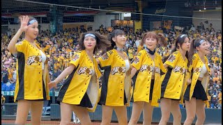 #峮峮#Julia#夏蕾#畇二#小安#白白#黃潮降臨#PassionSisters#台湾チアリーディングチーム#中華職棒#CPBL#洲際棒球場#20240817火影主題日