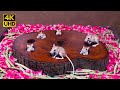 4K Cat TV To Mesmerize Your Cats Mice Hide Seek Fun From Tree Stump Holes