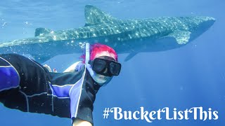 Swimming with Whale Sharks - #BucketListThis