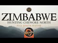 Hunting Leopard In Chewore North With Frank Cean And Charlton McCallum Safaris 4K