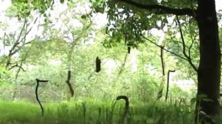 Charm (garden of lost souls)