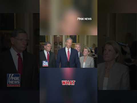 'Are we at war in the Caribbean?': John Thune answers reporter questions