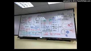15) Dr. wael salah end of cornea+ anatomy of retina (general)