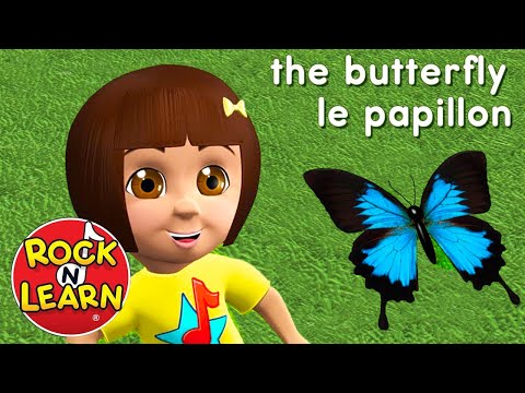 Learn French for Kids - Food, Activities & Animals - Rock 'N Learn Video