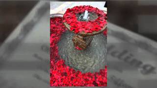 Wedding Ceremony & Reception in Arizona - Villa Siena - Tiffany & Christina ~ December 9, 2012