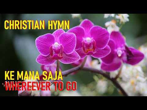 Wherever To Go (Ke Mana Saja) | Stephen Tong