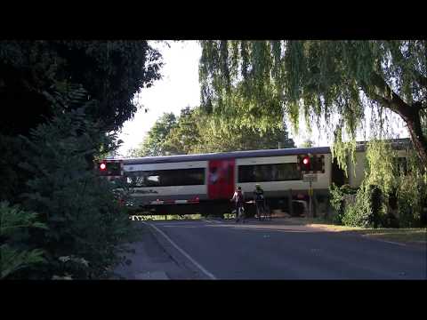 Teversham Road Level Crossing (Cambs) (11.07.18)