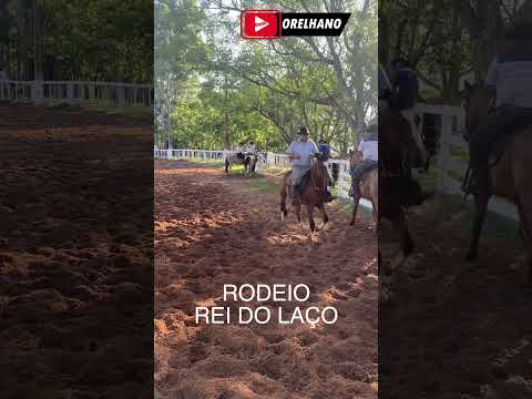 Rei do Laço | Fortaleza dos Valos-RS