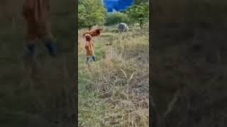 Dad &amp; Daughter counting the cattle