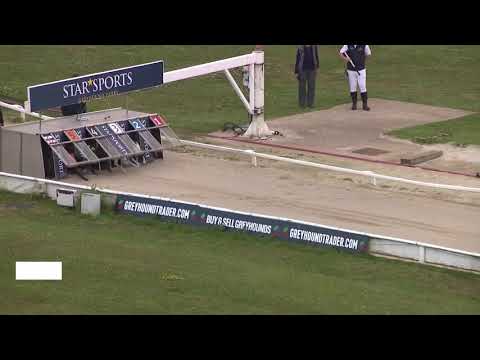 Moments Of Magic - BGBF Truframe British Bred Champion Stakes Final