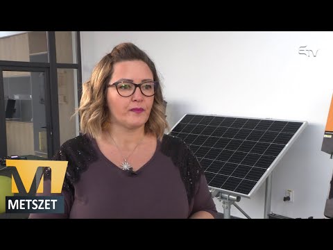 Naplopók zöld háza – Metszet