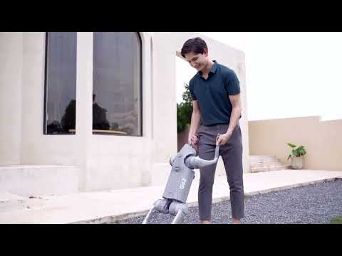 Introducing Unitree Go2 - Quadruped Robot of Embodied AI from $1600