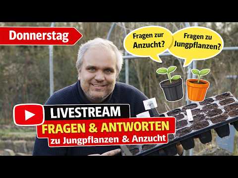 Jungpflanzen & Anzucht: Deine Fragen, meine Antworten!