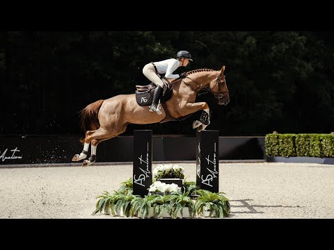 Togo di Magico de Res Nova - Jumping