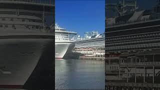 Melbourne wetdocks #carnaval #cruise #cruiseship
