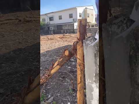 Vacant land for rent, next to a commercial area, near a community – รูปที่ 2
