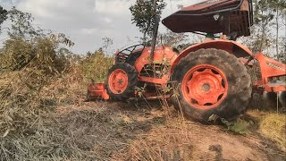 ត្រាក់ទ័ររុញព្រៃ_Kubota M6040su Tractor Pushing Over Tree