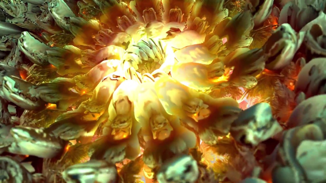 FRACTAL FLOWERS ❂ 3D Colorful Compilation ❂ #AAVFX
