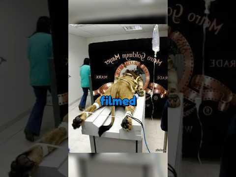 Viral Photos That Fooled Everyone 😨