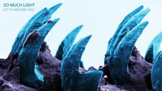 So Much Light - "Let It Absorb You" (Full Album Stream)