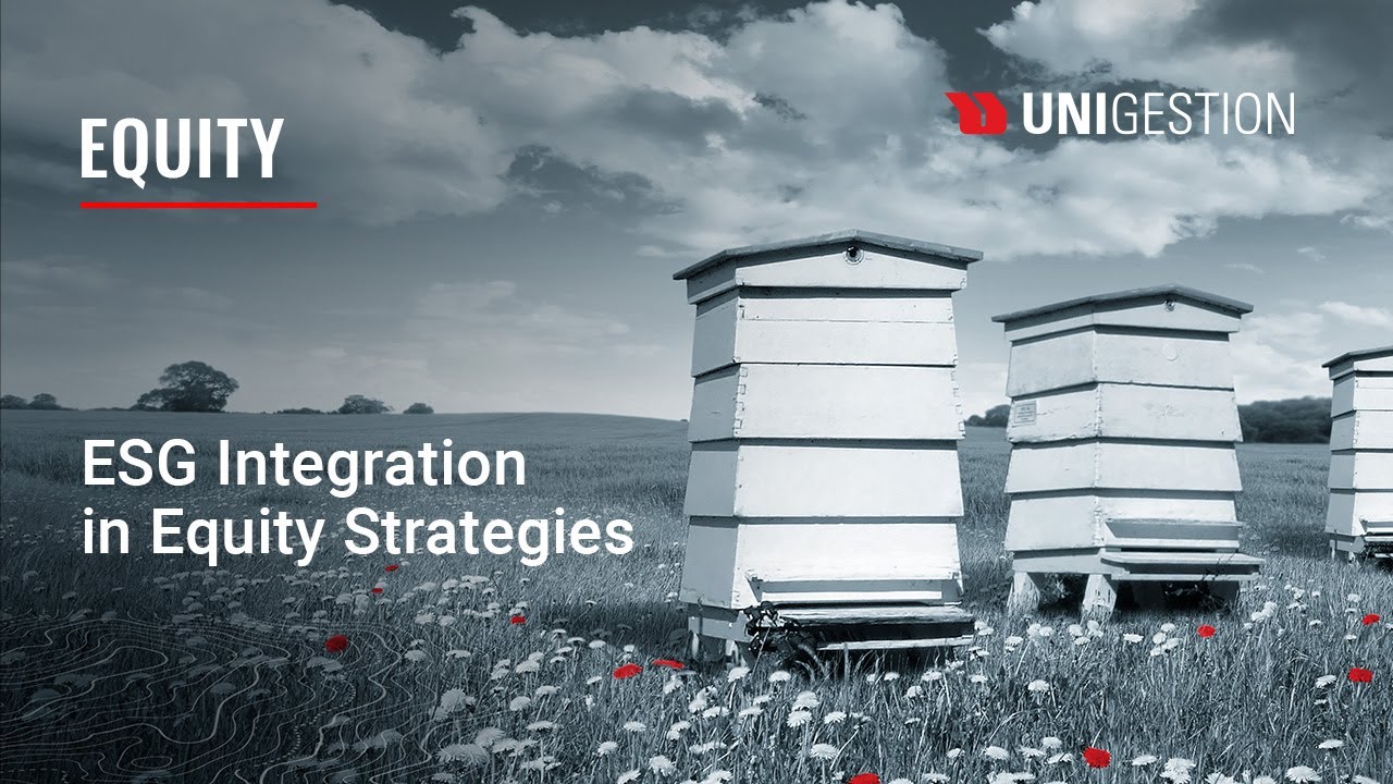 ESG Integration in Equity Strategies