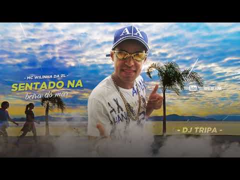 MC  Wilinha da ZL - Sentado na Beira do Mar (DJTripa)