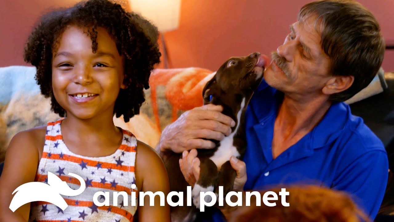 Mariah Matches Family with the Perfect Pup | Pit Bulls and Parolees | Animal Planet