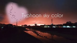 Typhoon clouds color♥️颱風前夕的雲♥️9月22日2025年的夕陽⛅️候鳥🐦migratory bird♥️黃頭鷺♥️Cattle Egret♥️Bubulcus