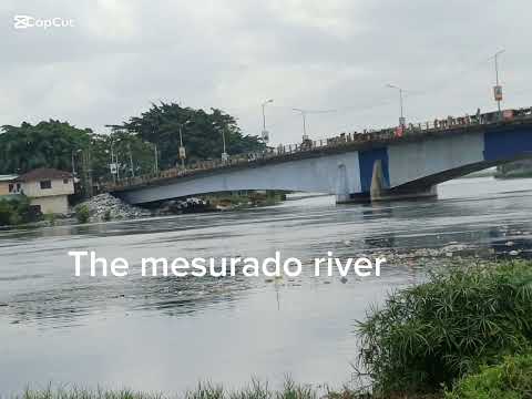 How to restore and conserve mangroves and wetlands ecosystem from Liberia 
