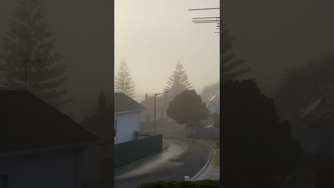 Ship On Arrival On A Foggy Morning. Devonport Tasmania. #trending #shorts #fog #lifeatsea #tasmania