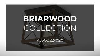 video: Briarwood_P350022-020