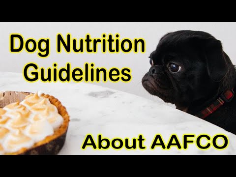 Choosing the Right Dog Food (AAFCO & FDA Standards)