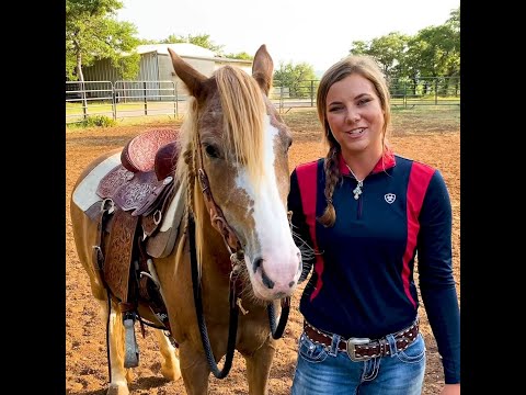 Teach Your Horse to Stand Still for Mounting