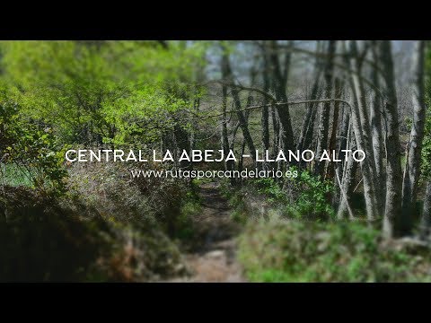 R07 LaAbeja LlanoAlto  - Rutas por Candelario (Castellano)