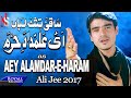 Ali Jee | Aye Alamdar E Haram | 2017 / 1439