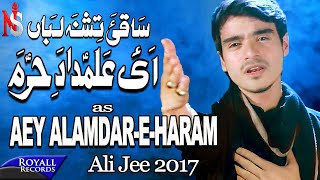 Ali Jee  Aye Alamdar E Haram  2017 / 1439
