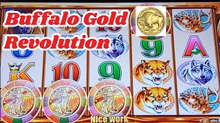 Download the video "Buffalo Gold Revolution Bonuses"