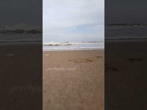 Beach Vibe's🌊🏖️🐚 #shorts #viral #ytshorts #ytshorts #beachvibes #youtubeshorts #youtube #viralvideo