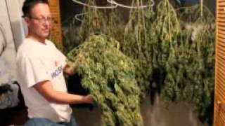 Grass Fire By: John Trudell