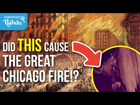 The Great Chicago Fire | Golden Age
