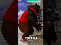 Kuma Tekken 1 To Tekken 8 Comparison