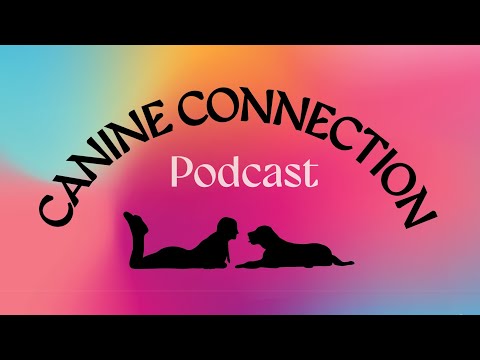 Episode 10: Impact of Arousal in Training.
