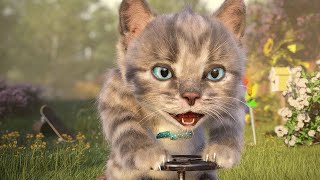 Little Kitten My Favorite Cat - Pet Racing - Bike & Kart Racer - Beach And Town Part 2