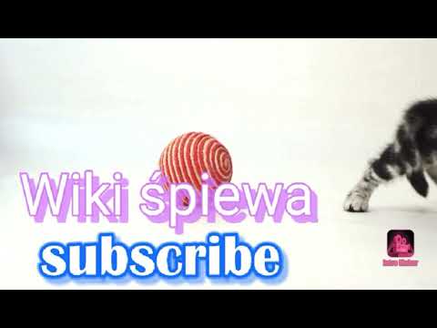 Moja ulijanko /Wiki śpiewa