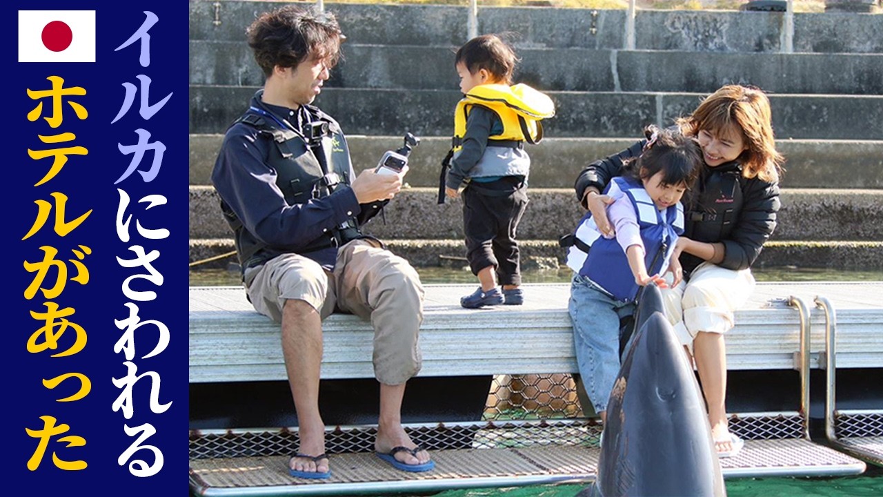 【大絶賛】沖縄にイルカと触れ合えるホテルがありました｜日本人・ベトナム人の国際結婚カップル
