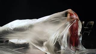 國藝會補助成果—2025 葡萄牙O Espaço do Tempo 駐村交流計畫／黃至嘉