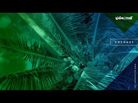 Everything You Need To Know About COCONUTS